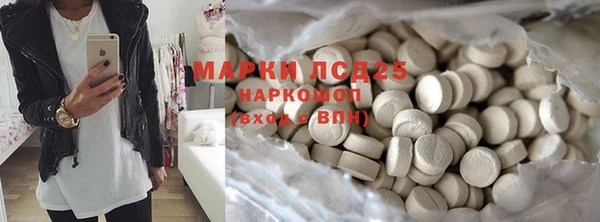 прущие грибы Алзамай