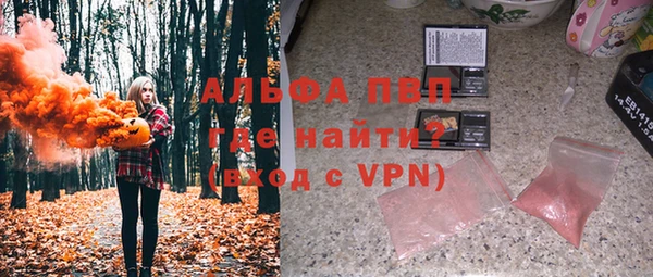 прущие грибы Алзамай
