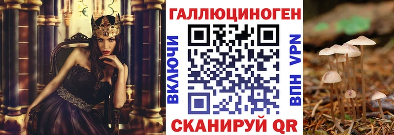 Галлюциногенные грибы мухоморы  где купить   Шумерля 